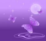 vector_background_with_butterflies_208134
